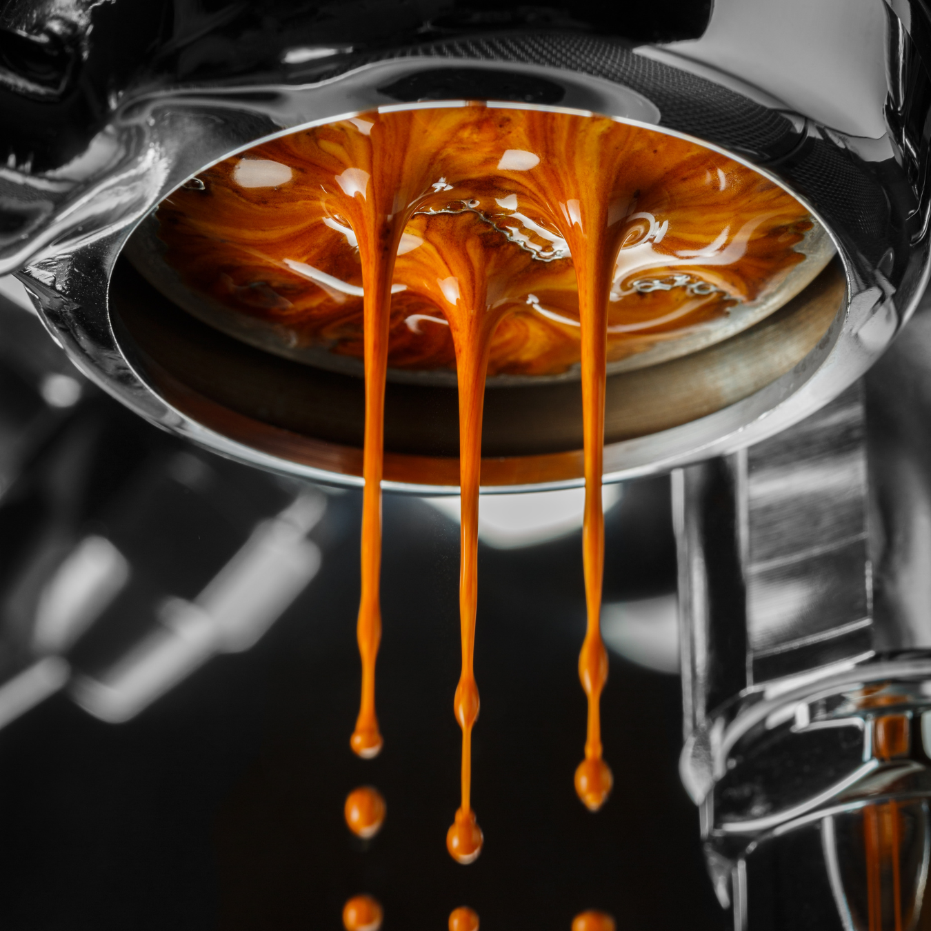 Professional Barista Course – Master the Art of Coffee Brewing