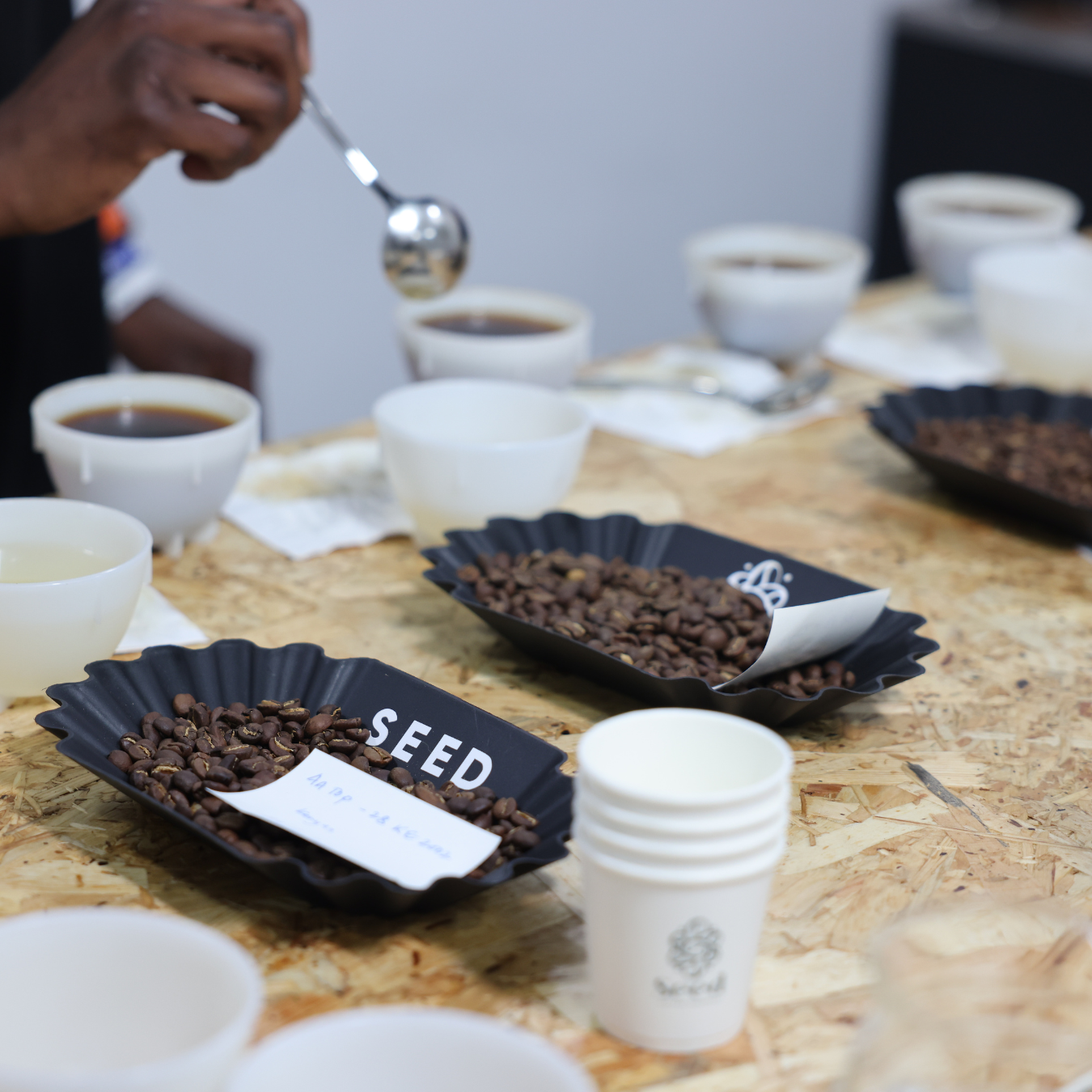 Sensory Skills Intermediate Course – Enhance Your Coffee Tasting Expertise