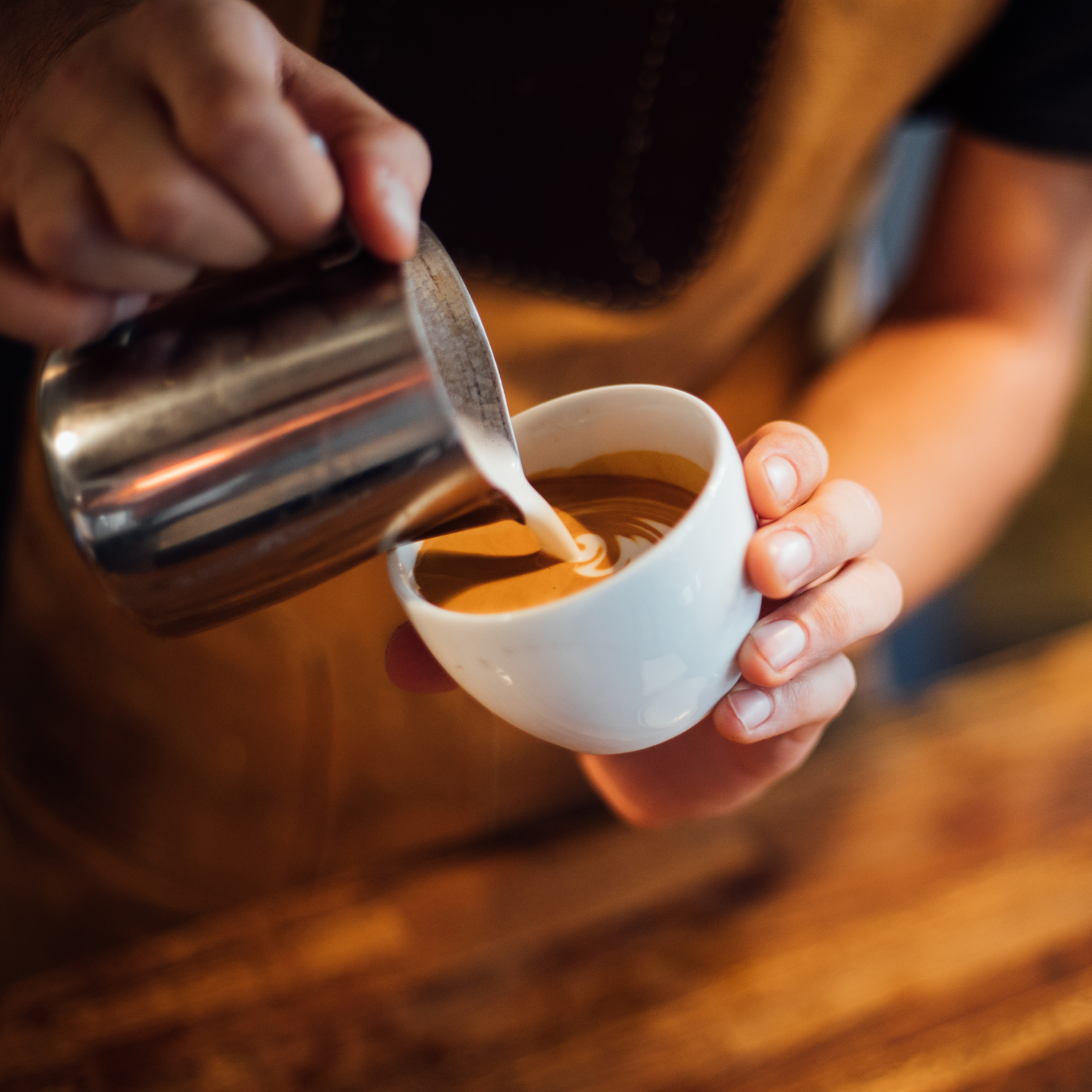 Foundation Coffee Training Bundle – Learn the Basics of Coffee Brewing